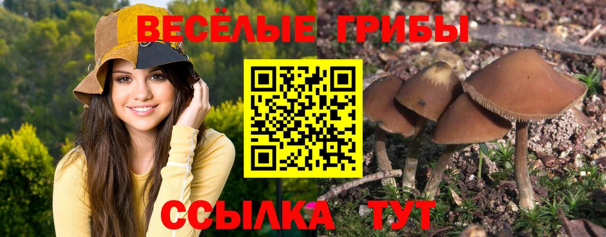 Галлюциногенные грибы прущие грибы Рыбинск