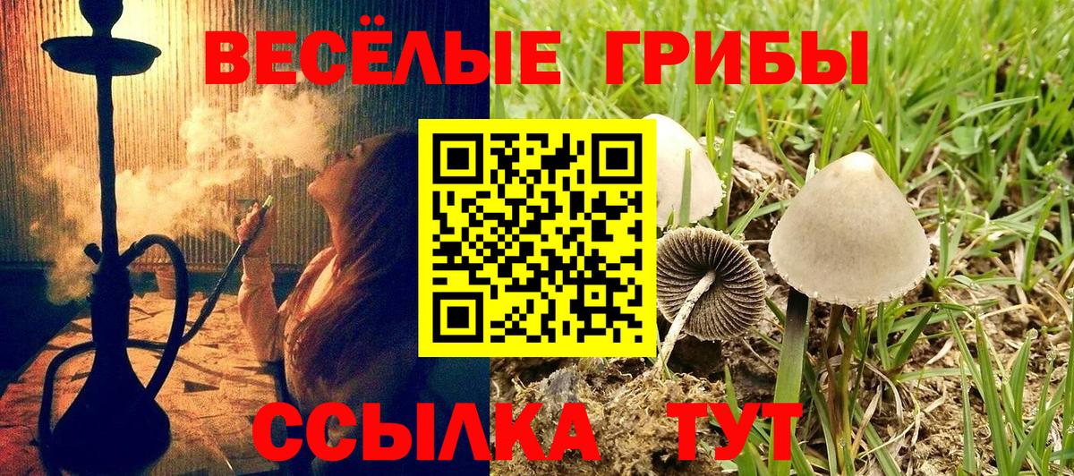 Галлюциногенные грибы Psilocybine cubensis  Вход с VPN  Галлюциногенные грибы мицелий  Рыбинск 